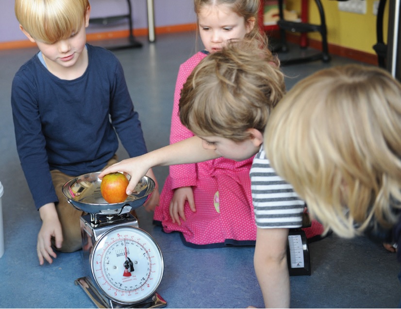 Projektarbeit in Kindergarten und Vorschule